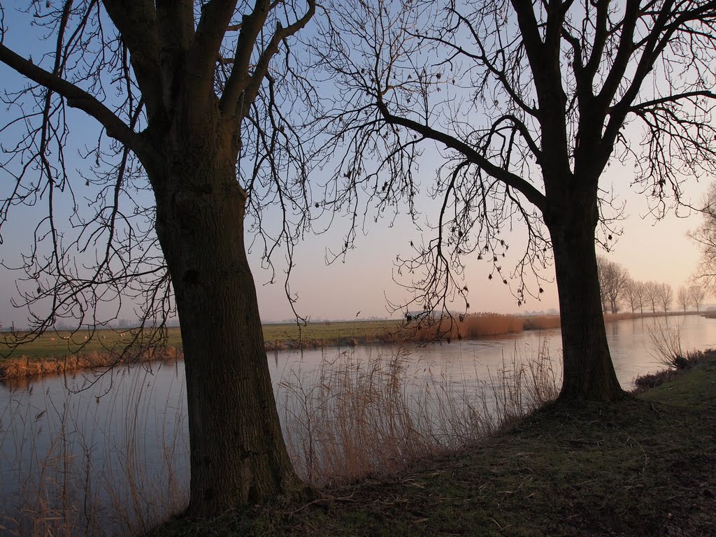 Bomen aan de Bakkerskil by Havan