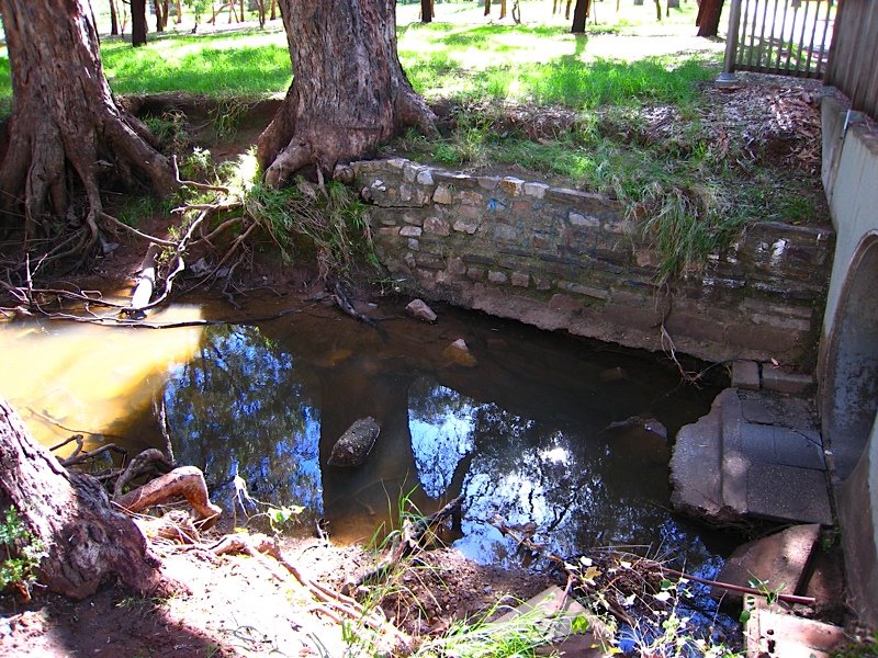 Parklands creek by sebr