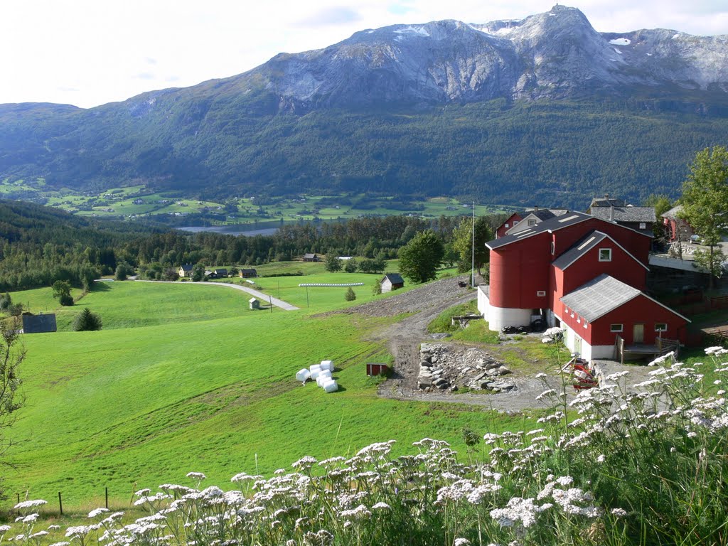 Utsikt mot Lønahorgi, Voss by H.Jelstad