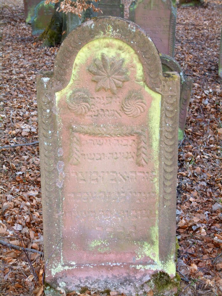 Zwischen Wenkheim & Steinbach: alter Waldfriedhof im Großen Wald by H. Beierstettel