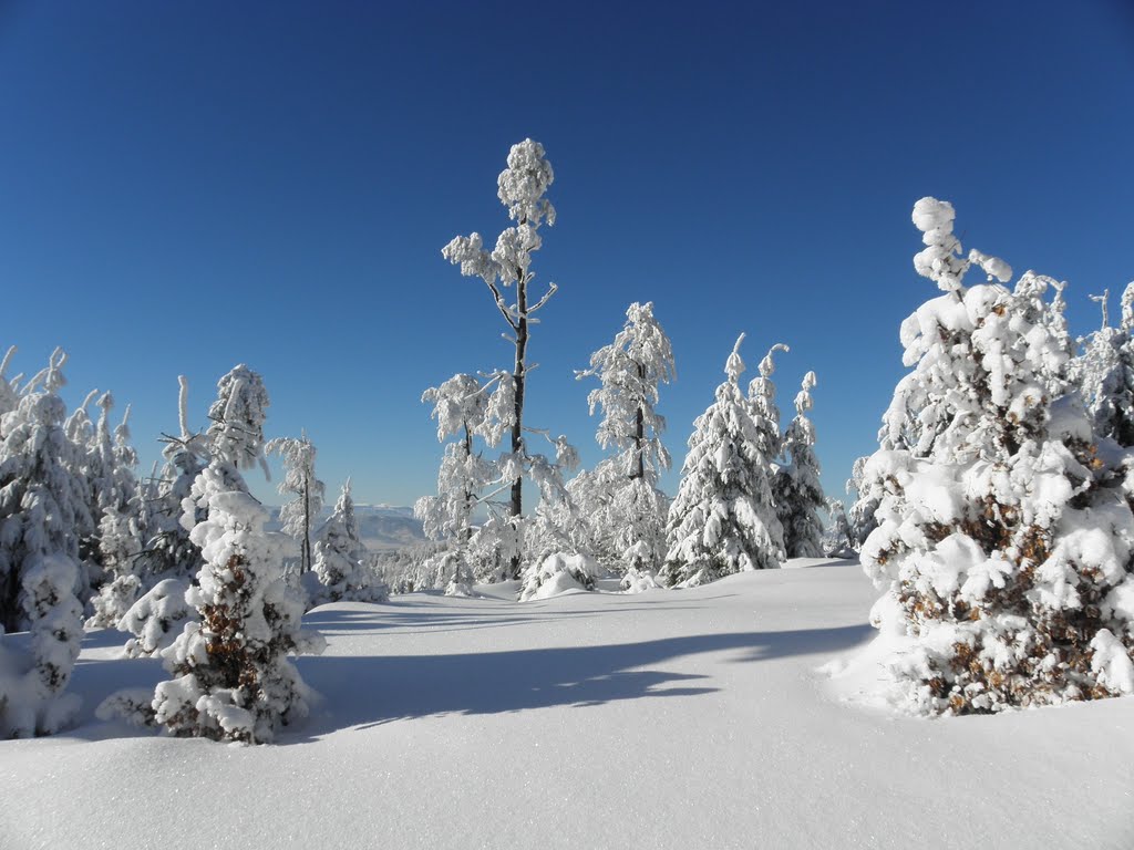 Near the summit of Wielka Sowa by Dodge