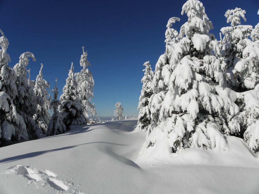 Deep snow on slopes of Wielka Sowa by Dodge