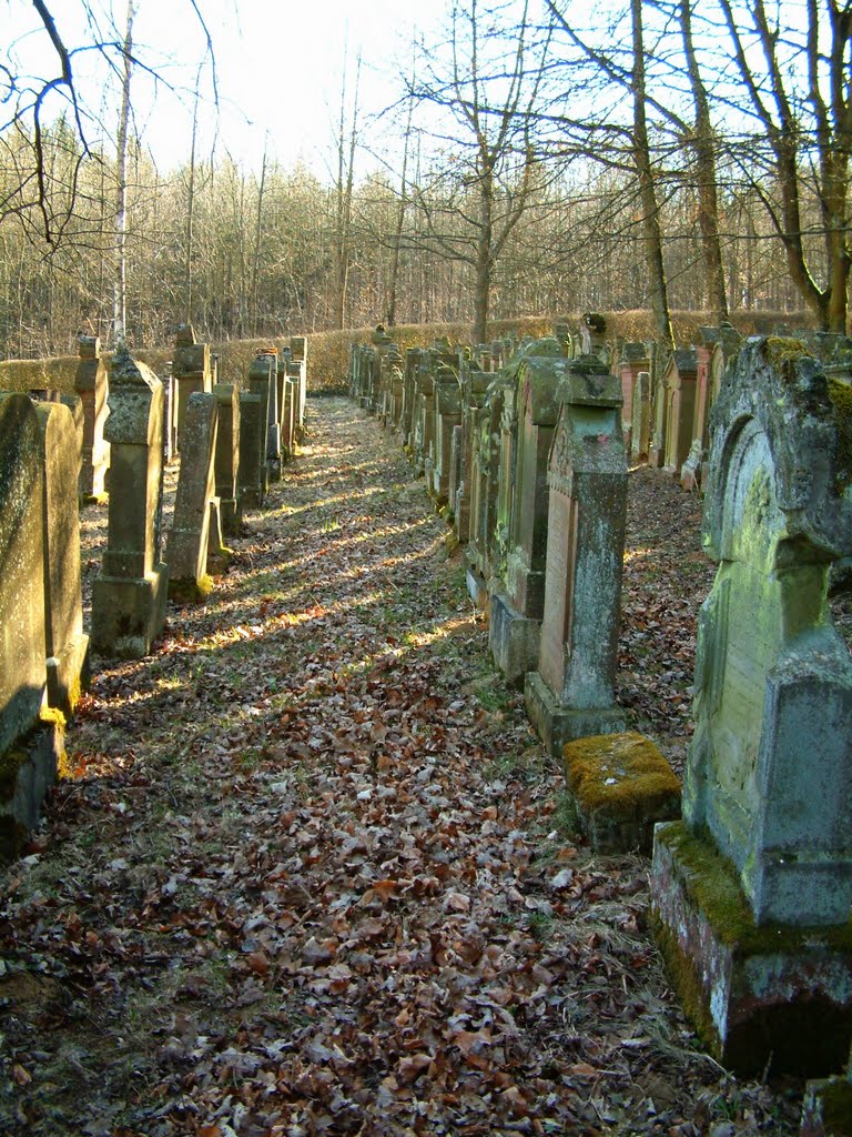 Zwischen Wenkheim & Steinbach: alter Waldfriedhof im Großen Wald by H. Beierstettel