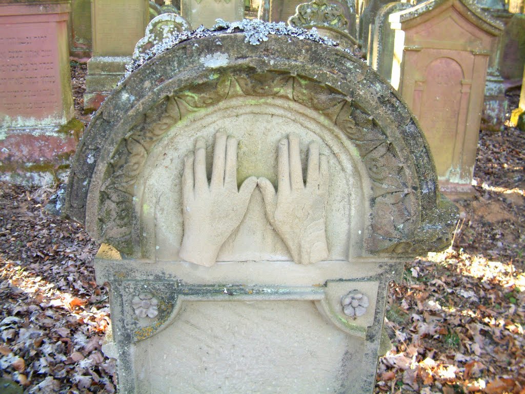 Zwischen Wenkheim & Steinbach: alter Waldfriedhof im Großen Wald by H. Beierstettel