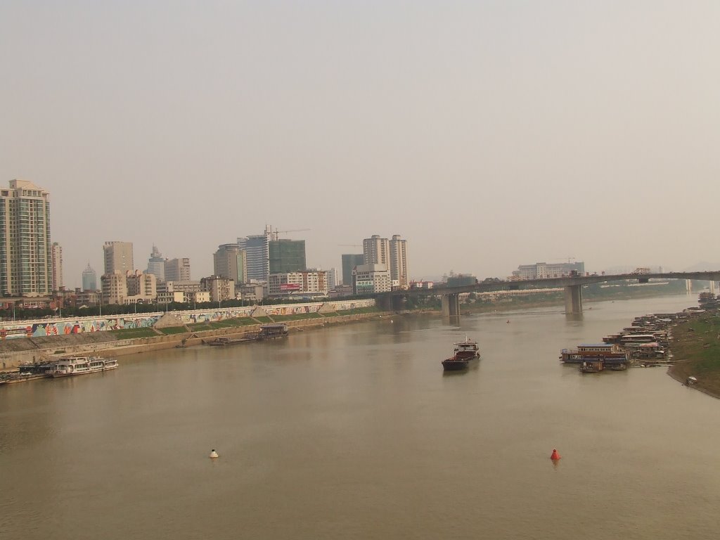 CENTRAL OF YONGJIANG BRIDGE 2007/09/17 by darvenzil