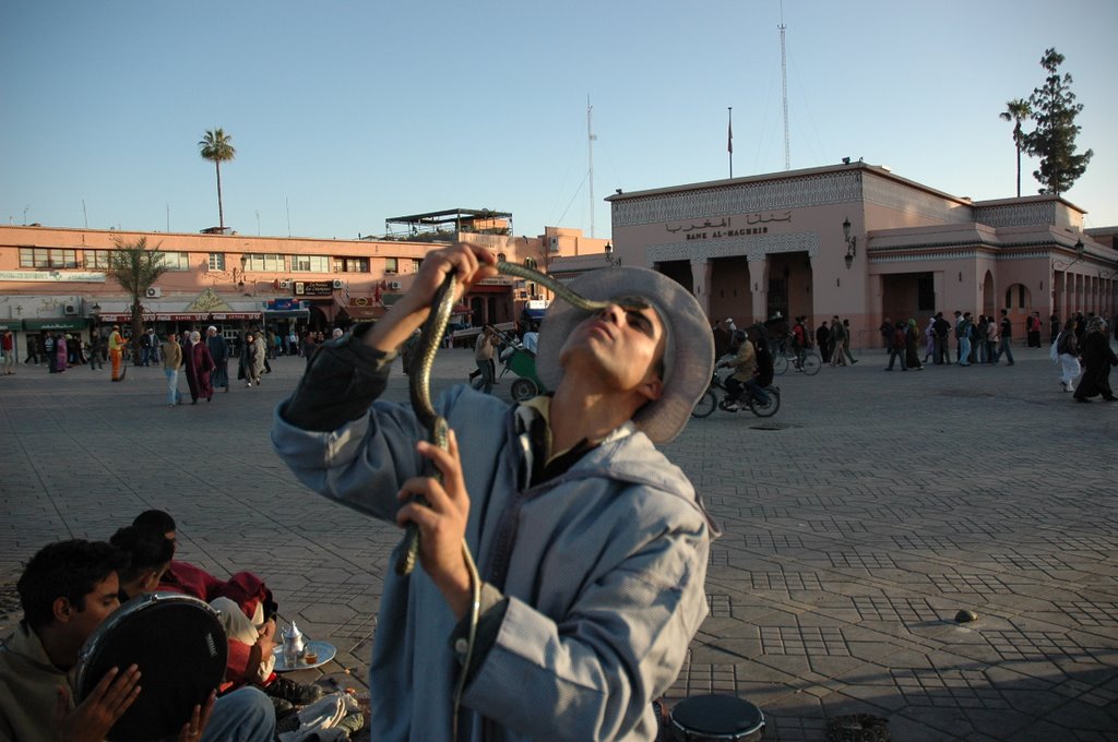 Charmeur de serpent by Moulay Driss Rochdi