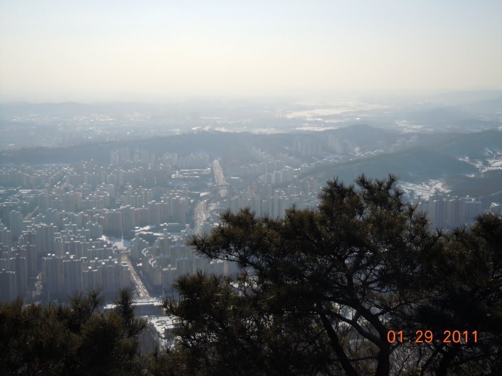 View from Suri Mountain 수리산 전경 by plumgarden