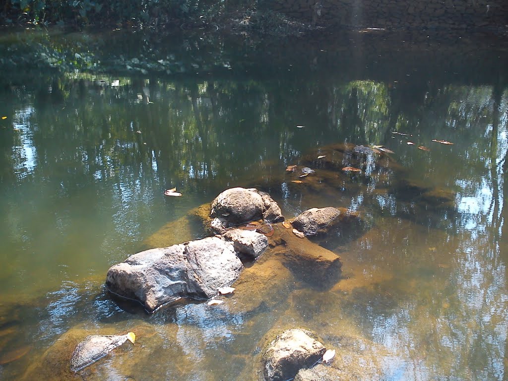 Chirakkadavu, Kerala, India by Naveen Nair