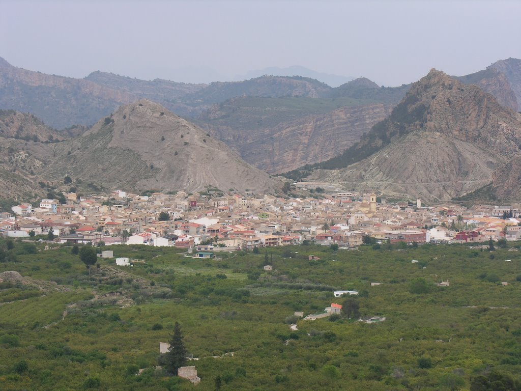 Vista de Ricote by Salvador Hurtado