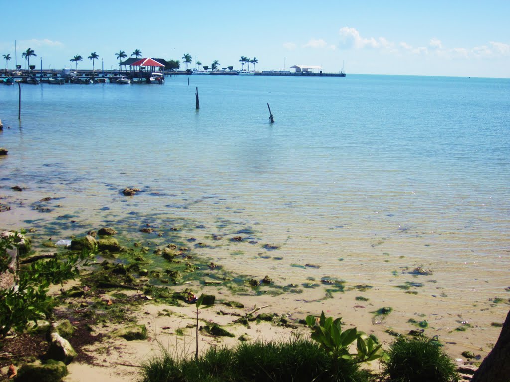 Vista hacia el muelle fiscal de Chetumal, Q. Roo by holachetumal