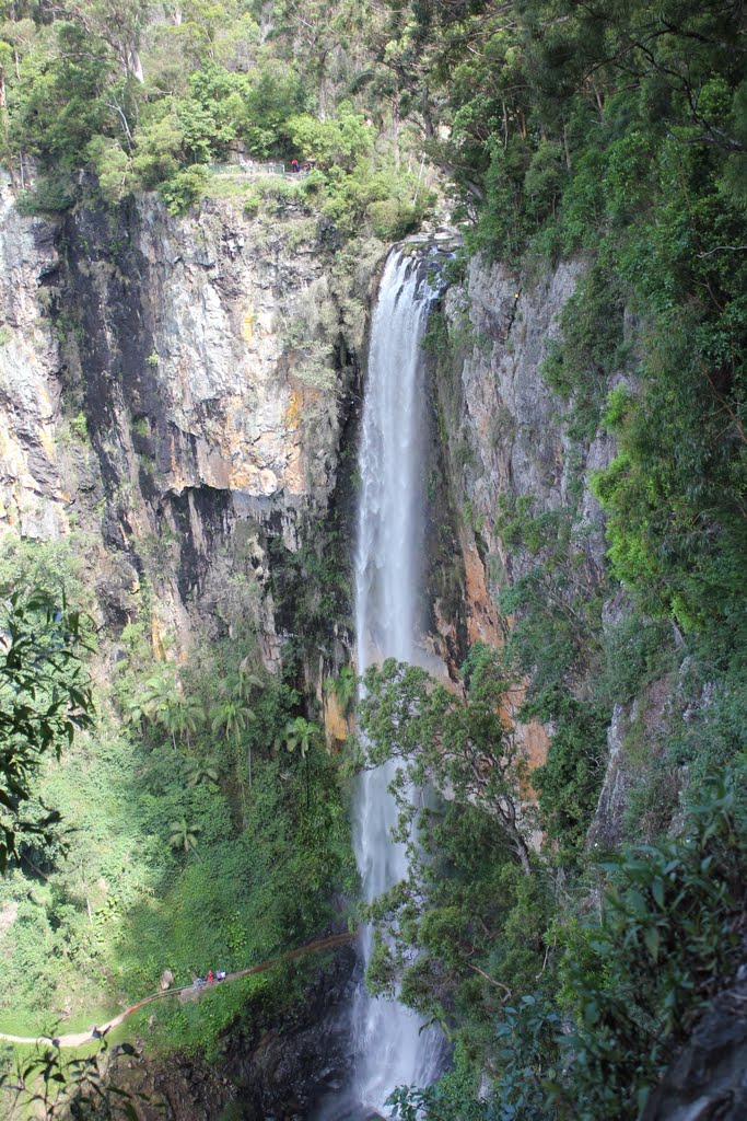 Purlingbrook Falls, Springbrook, QLD, Australia by mrpatikiri