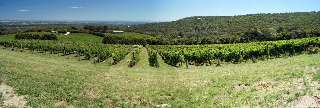 Looking west towards to Port Phillip, from Blue Range Estate winery (2011) by Muzza from McCrae