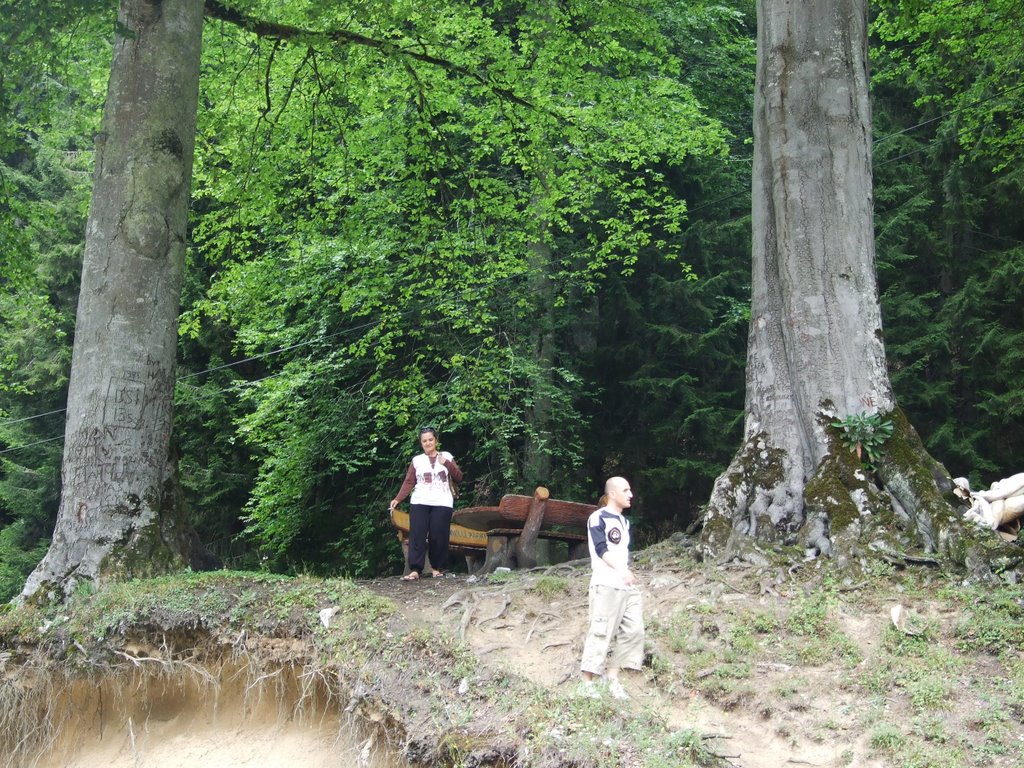 53780 Yukarışimşirli/Çamlıhemşin/Rize, Turkey by recepkulaber 1