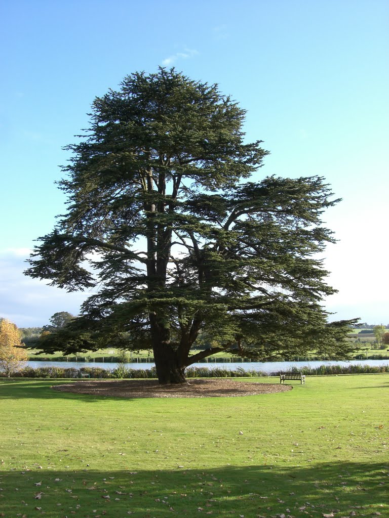 Hambleden, UK by xodi