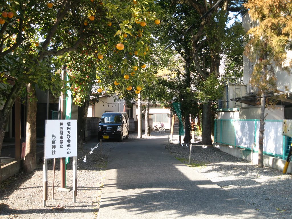 先宮神社参道 by delphi3615