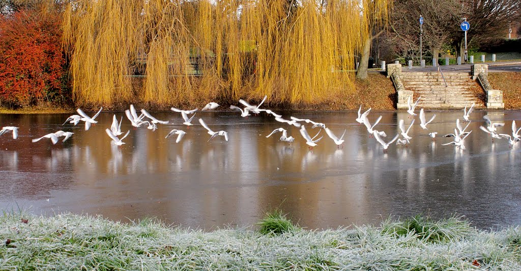 Frozen Moat by Chris Matthews