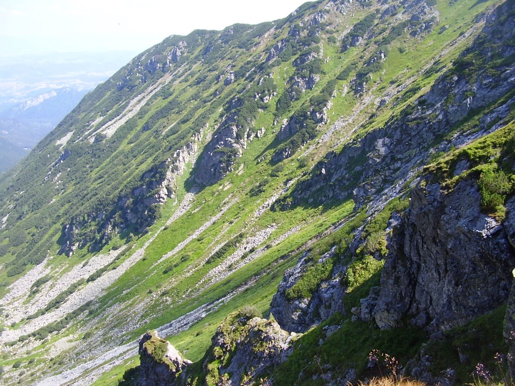 Zakopane, Poland by Taavi L