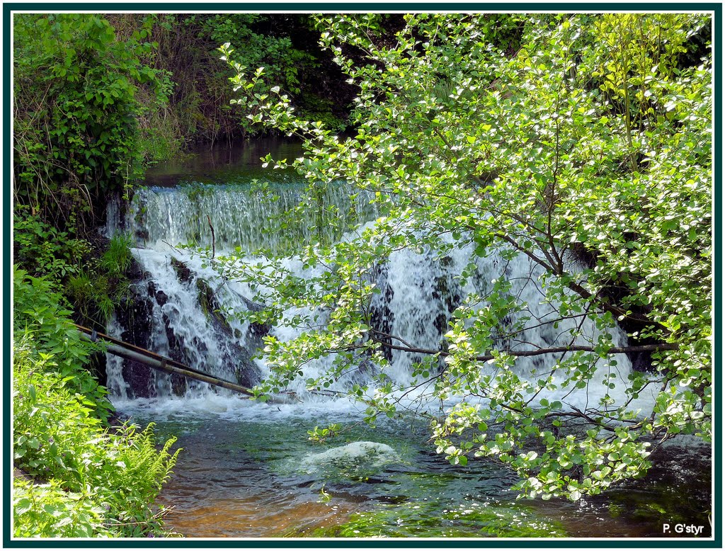 Les chutes de Niederbronn-les-Bains by Paul G'styr