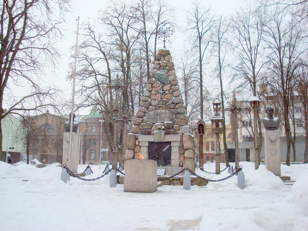 Monument to Freedom near Kaunas Museum on January 25, 2011 by Aurimas Nausėda