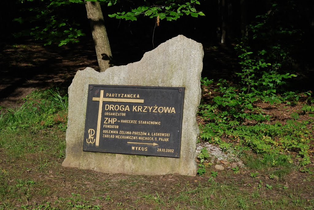 Gmina Bodzentyn, Poland by Becezet