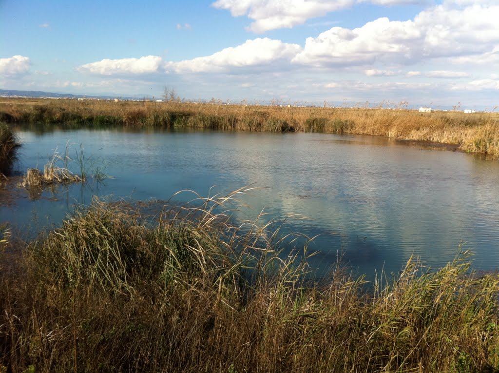 Ullals desde el miraos by jcoves