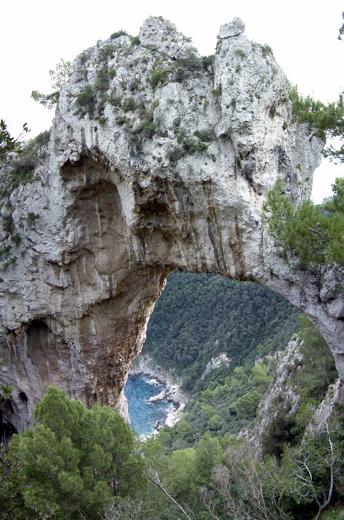 Arco Natural by Napy70