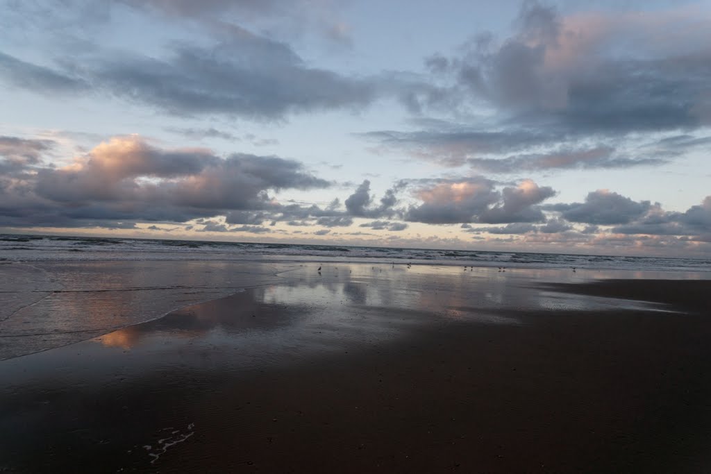 Texel - North Sea Estuary of De Slufter - View NW in November by txllxt TxllxT