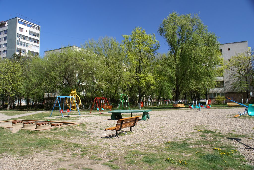 Parculet Snagov by Doru Cobarjoiu