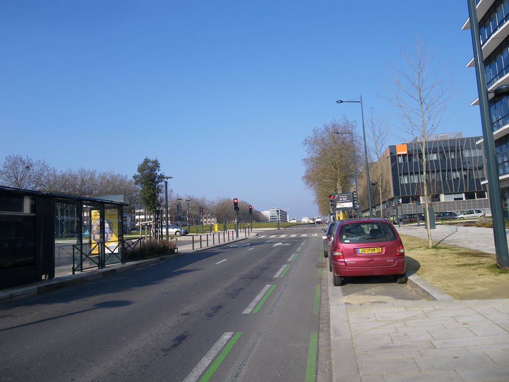 L'avenue henri freville a rennes by chisloup