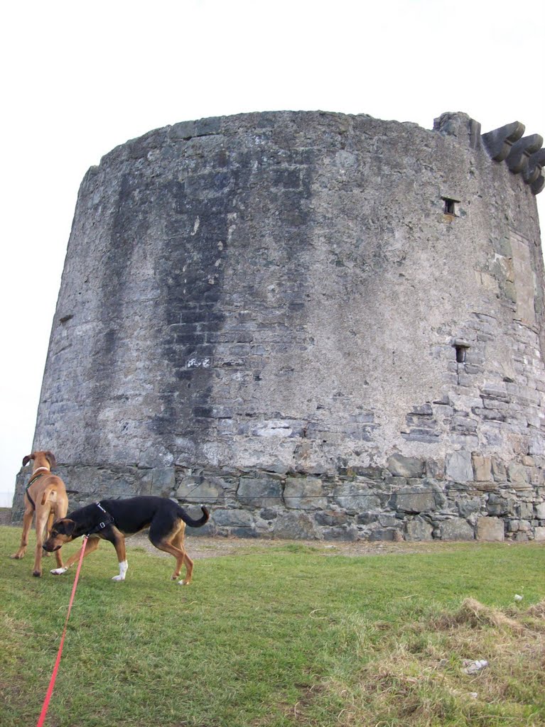 Martello TTower Balbriggan 2 by owenfingal