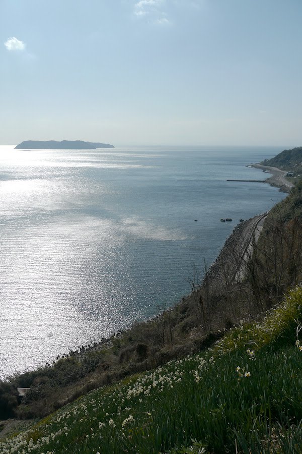 黒岩水仙郷より 沼島方面を望む 淡路島 by awaji-oyaji