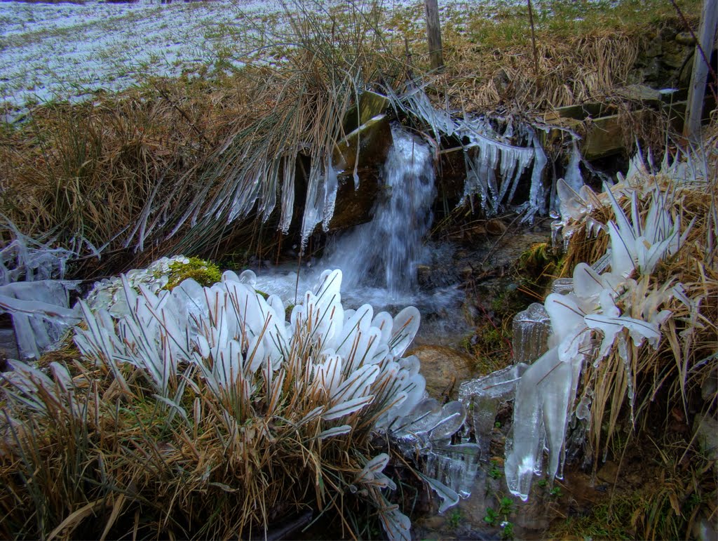 Eiskreation am Bächle by Veitinger