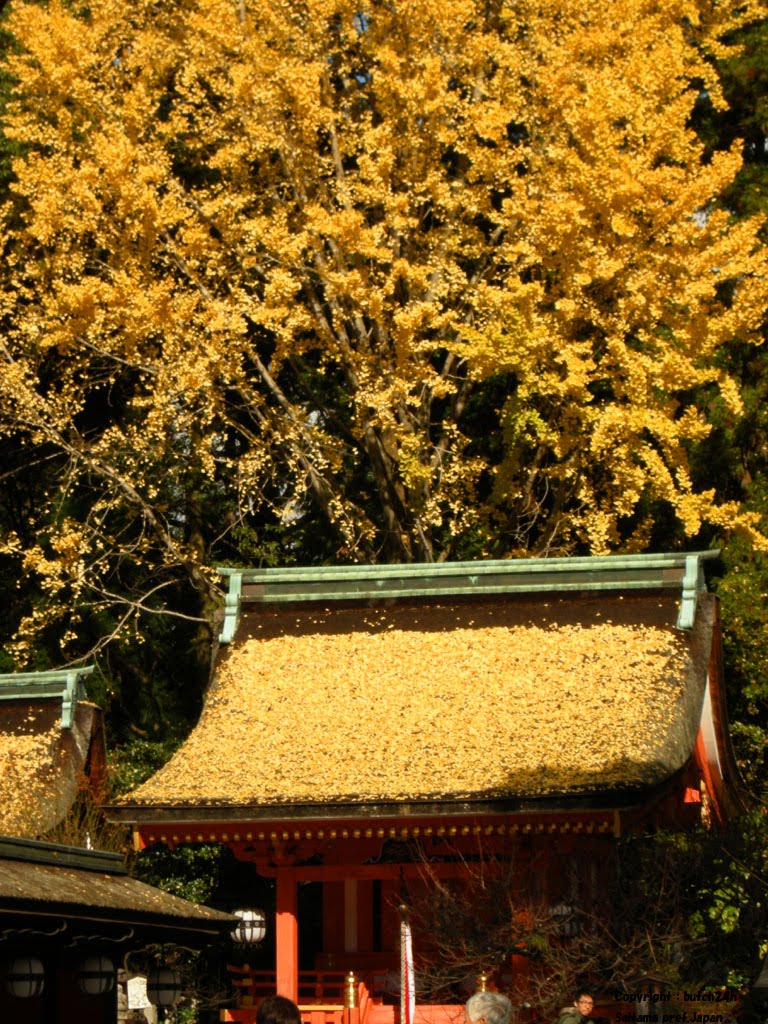 Kitano-Tenmangu shrine,Kyoto city 北野天满宫（京都市） 北野天満宮（京都市） by butch24h