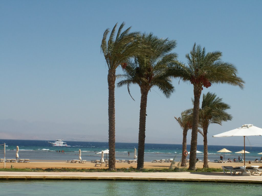 Sofitel- Red Sea by JuTaKa