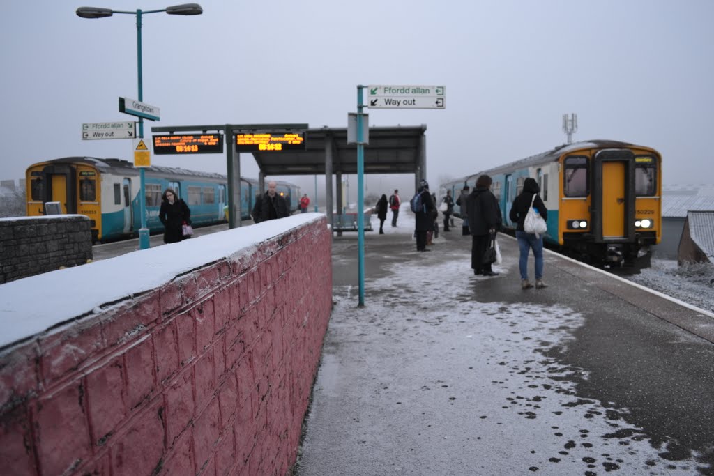 Grangetown Station by fat-freddies-cat