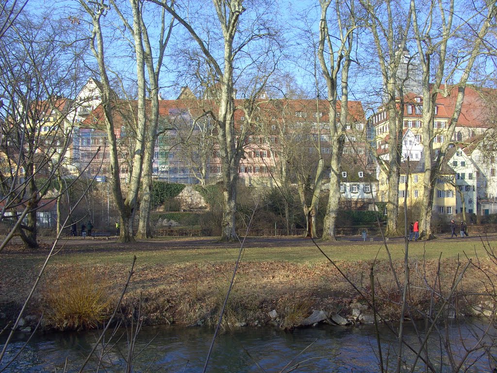 Neckar - Tübingen 1 by Mitsos63