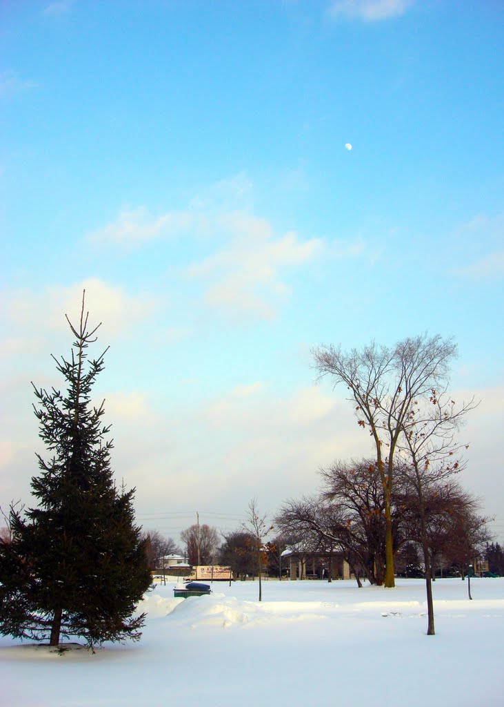 Snow...and more snow..., North York, Canada by antonijeilia