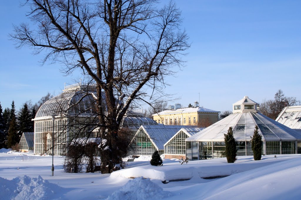 Kaisaniemi, Helsinki, Finland by jani riikonen