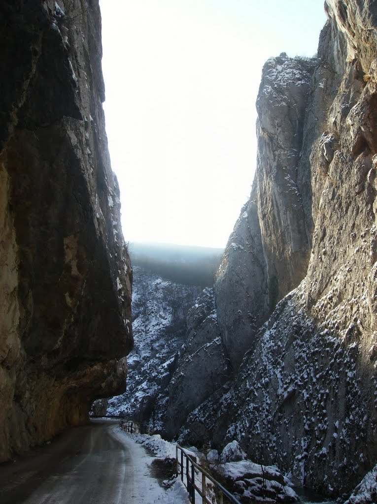 Kanjon Jerme - pogled uzvodno by Саша - Брат Меда