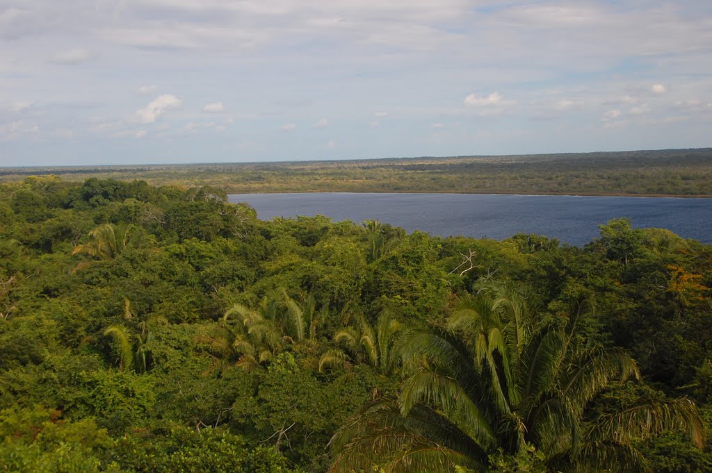 New River from Lamanai High Temple by Mark Saffian