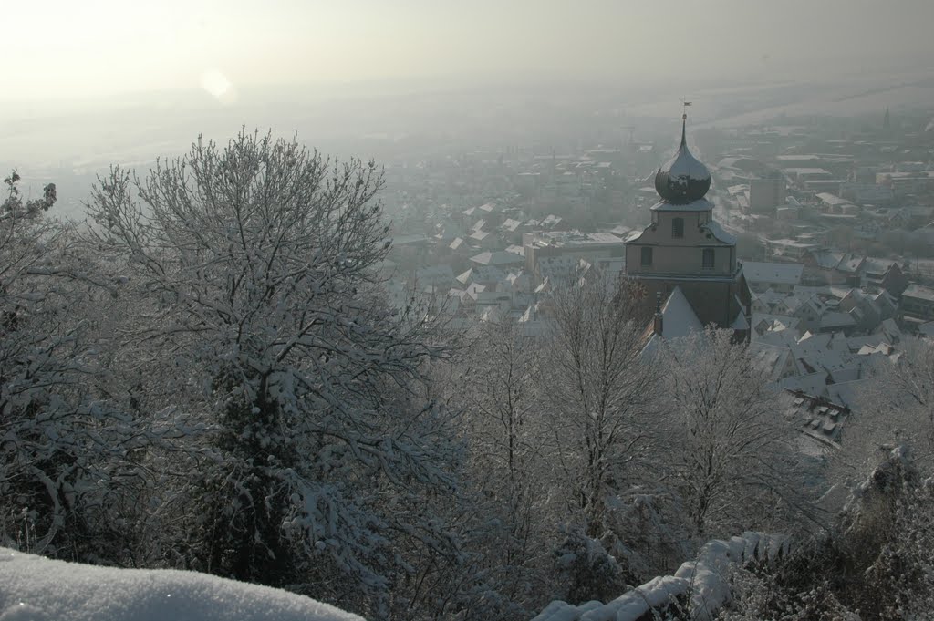 HERREMBERG - VISTA PANORAMICA by Fisher