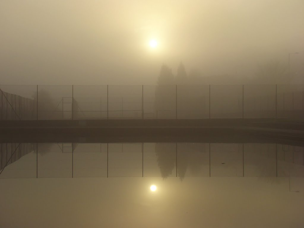 Sun breaking through thick fog reflected in Millhouses Park pond, Sheffield S7 by sixxsix