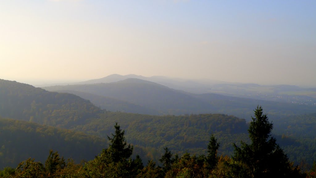 Blick vom Hermannsdenkmal 3 by SergRu