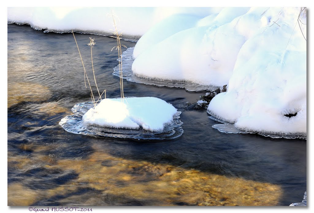 Riu d'Incles by Gerard MUSSOT