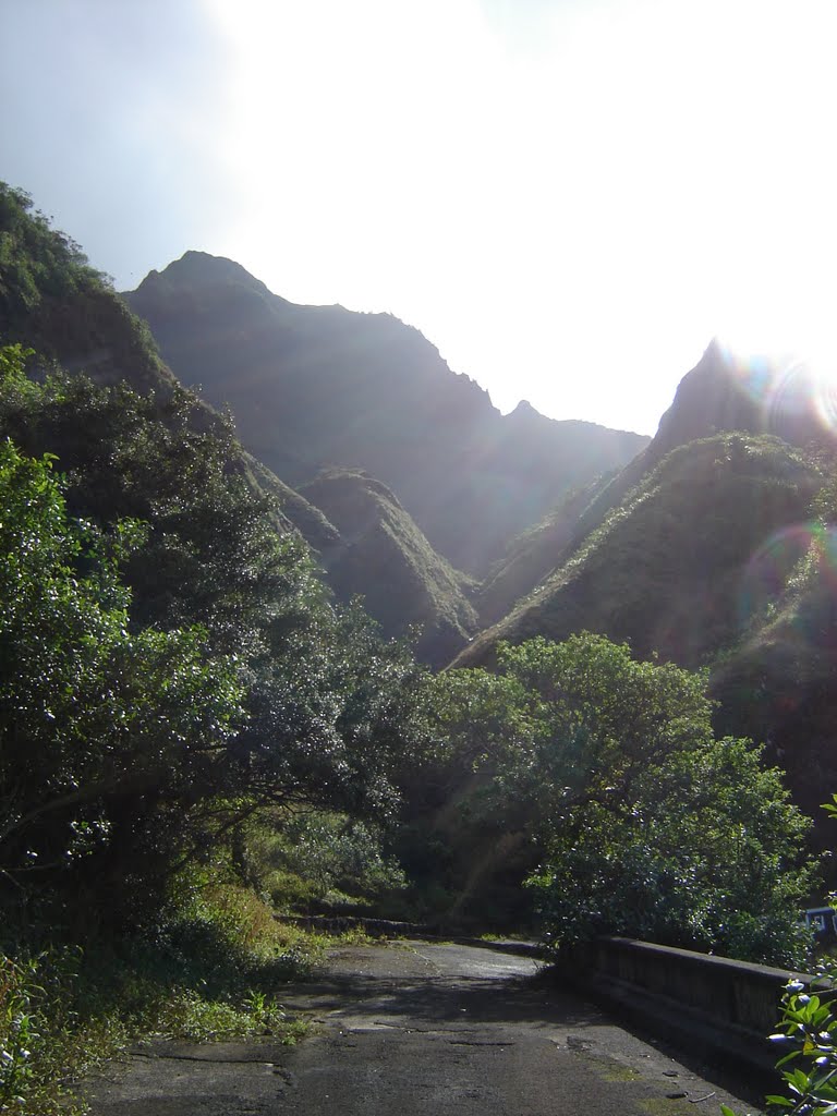 Nuuanu pali state park by dschmitz