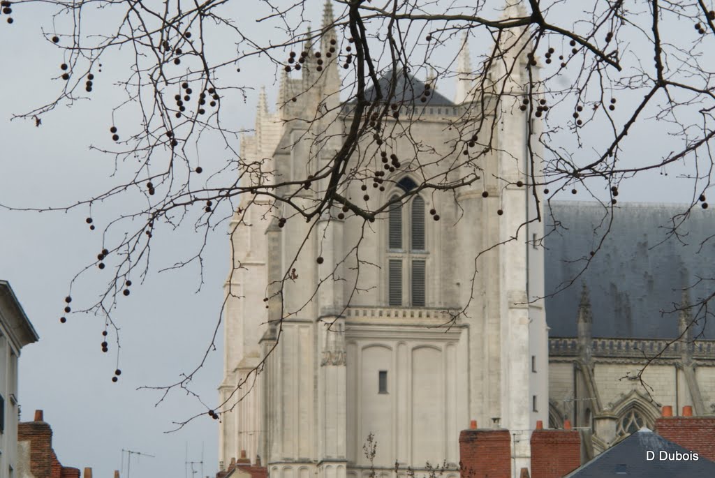 Cathedrale de nantes by Dubois dominique