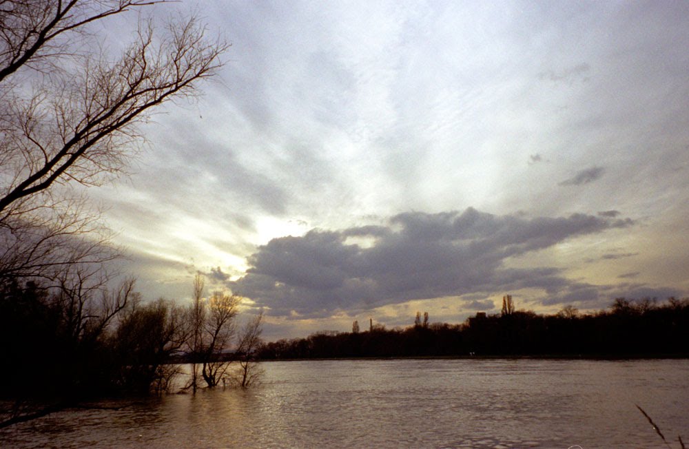 Hochwasser by Günther Wilhelm