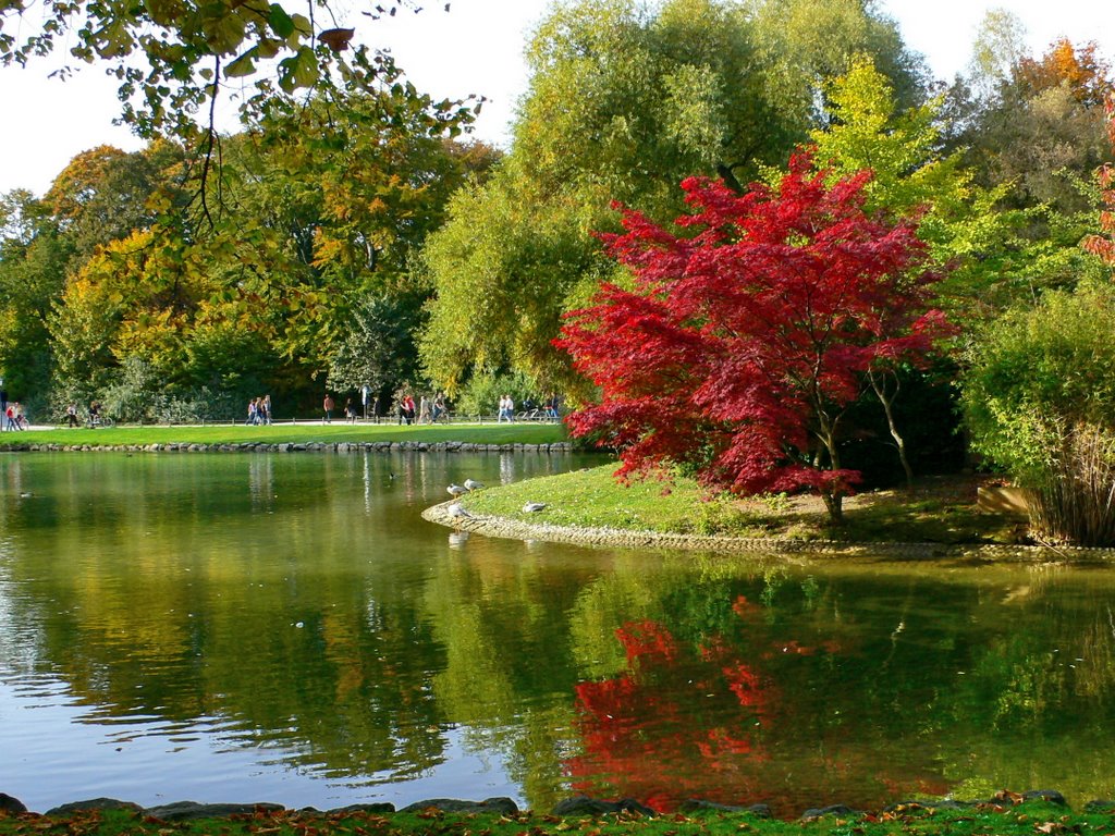 München, Englischer Garten, 22.10.2006 by Voltadino