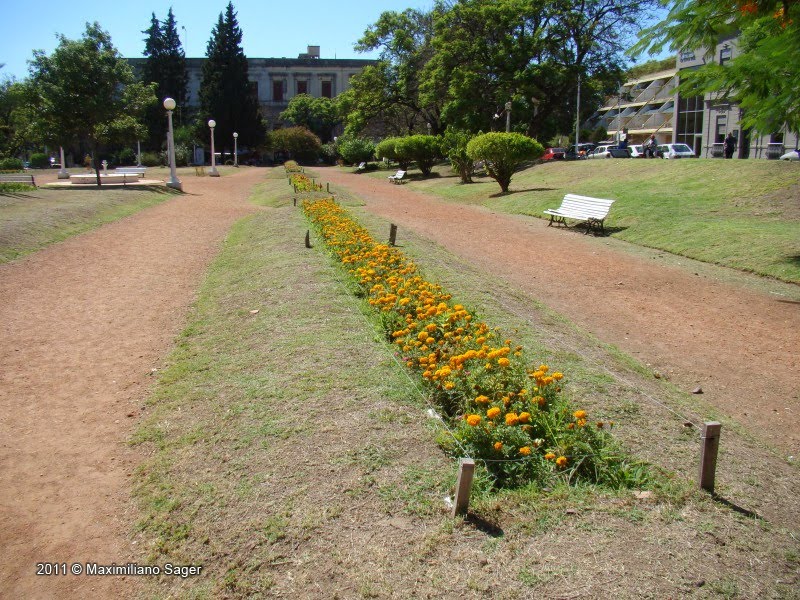 Plaza Alberdi by maxsag