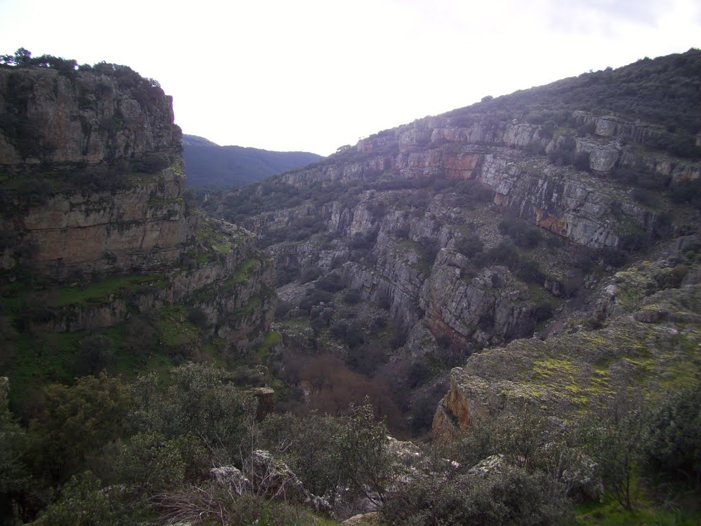 Paraje Natural La Cimbarra by Paco Letras